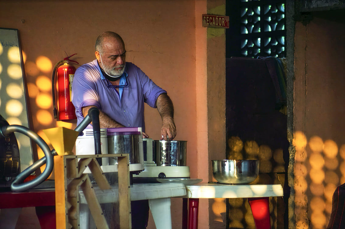 Cacao, motor económico y proyecto de vida