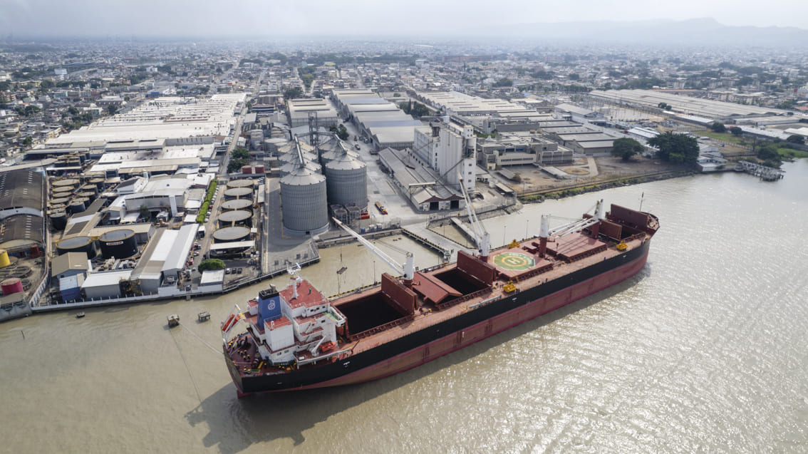 ECUABULK / Terminal Portuario del Río Guayas