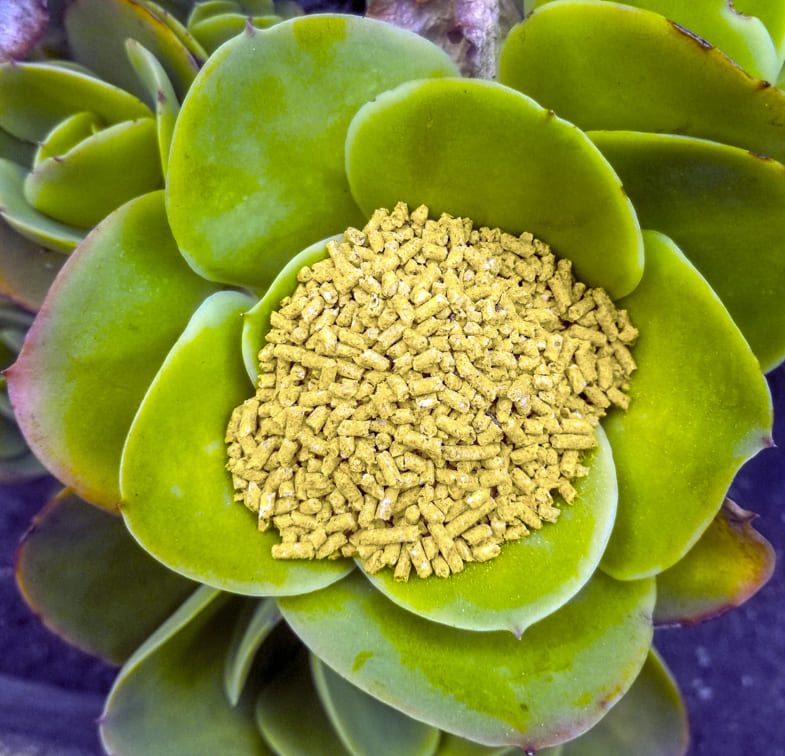 EL PELLET IDEAL PARA LA NUTRICIÓN AVÍCOLA