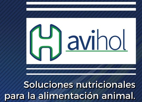 Avihol