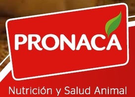 Pronaca